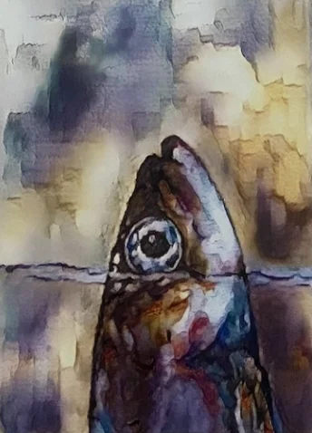 Anchoio Temporalis - Stampa su Tela - Stampa su tela OctoWonders