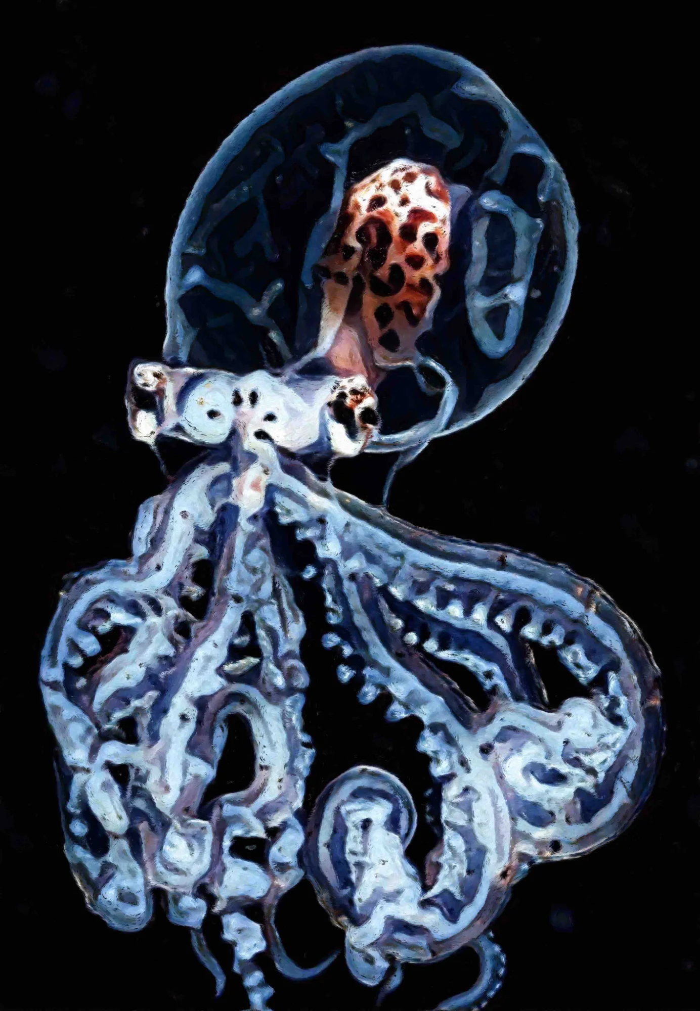 Octoghost - Stampa su Tela - Stampa su tela OctoWonders