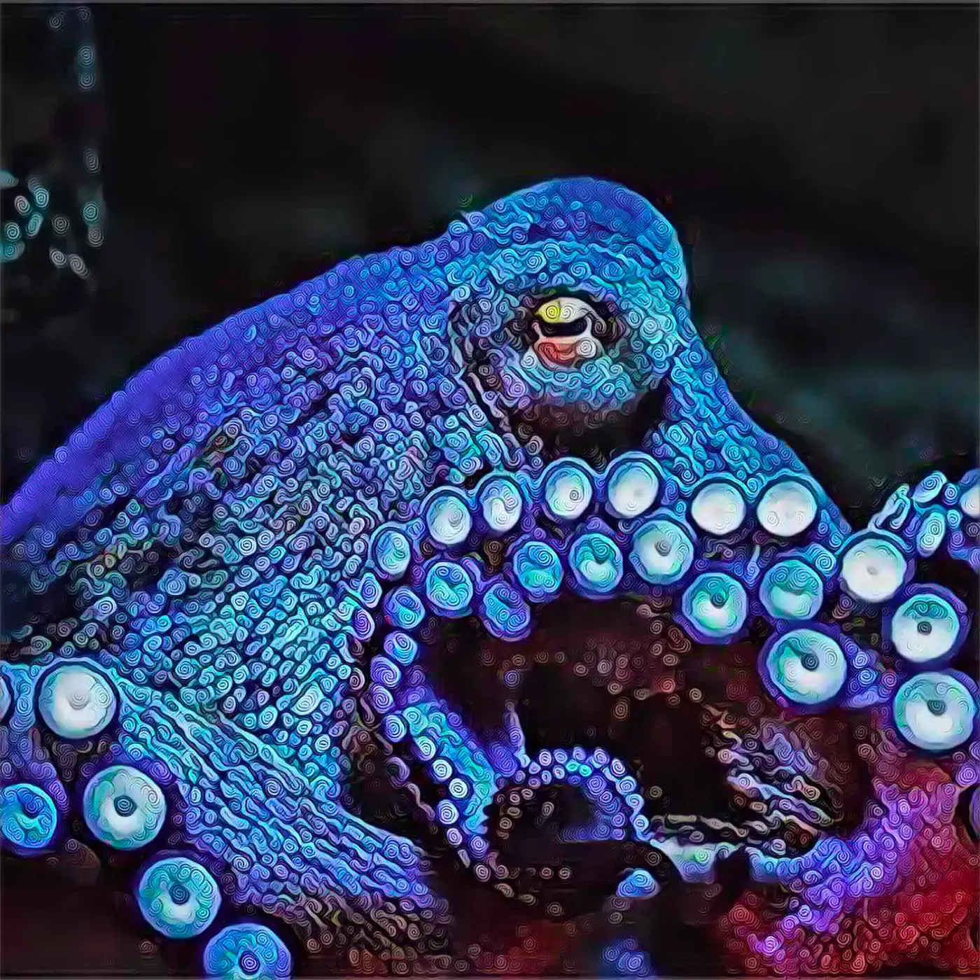 Octoblues - Digital Morphological Curation - Stampa su Tela - Stampa su tela OctoWonders