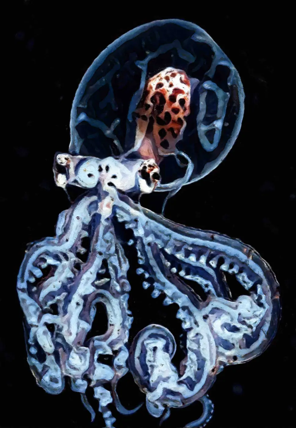 Octoghost - Stampa su Tela - Stampa su tela OctoWonders