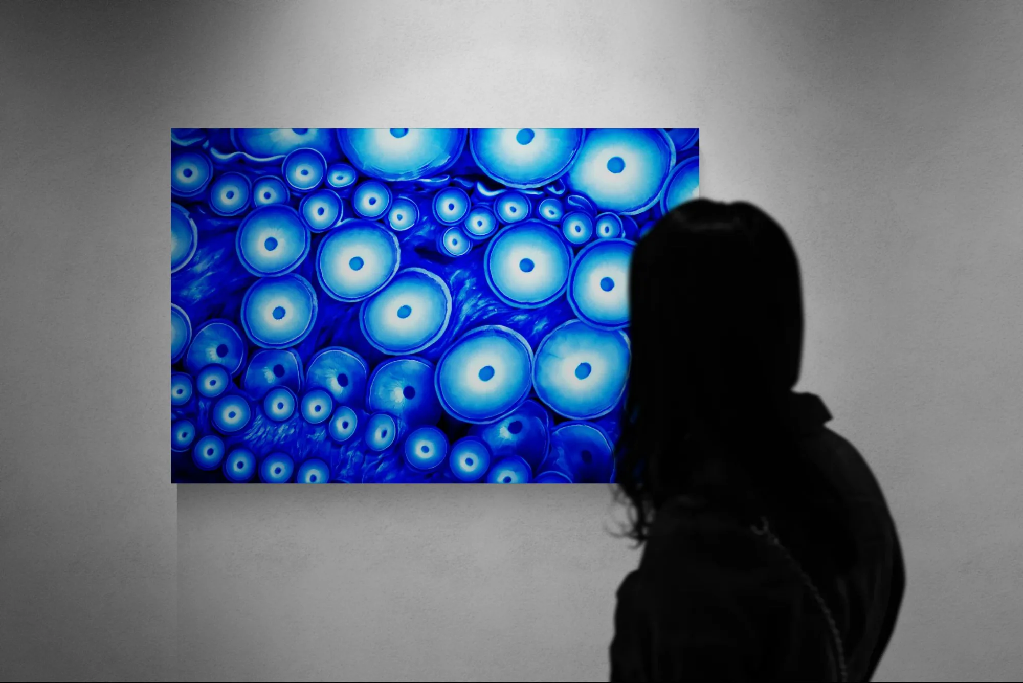 OCTOBLUE SUCKERS - 100x75 - Anteprima stampa in ambiente