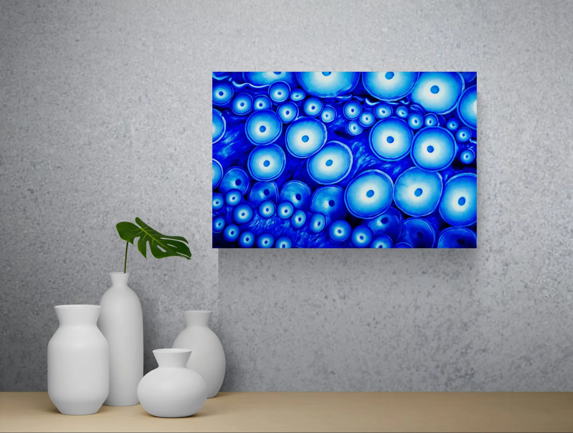 OCTOBLUE SUCKERS - 60x40 - Anteprima stampa in ambiente