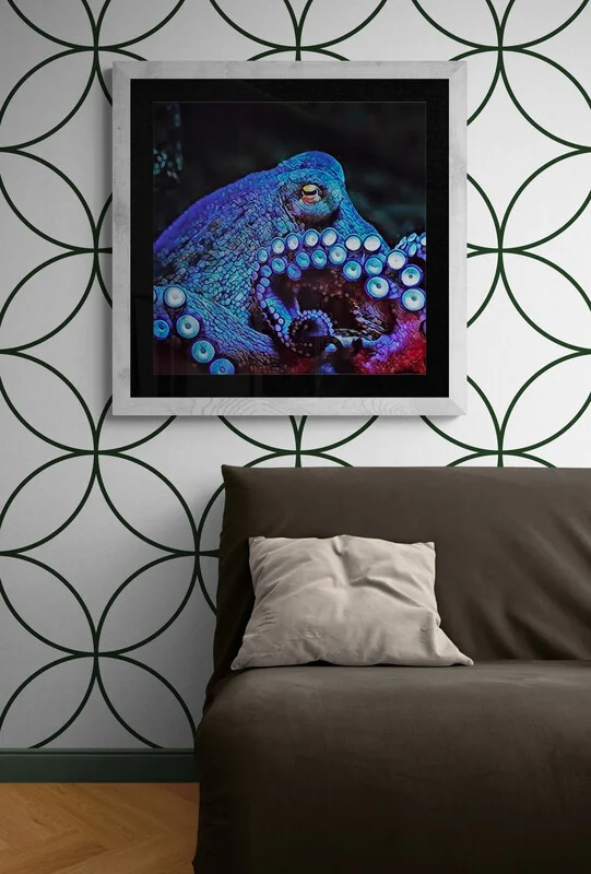 Octoblues - 60x60 - Anteprima stampa in ambiente